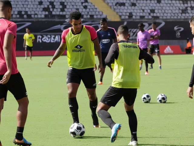 Informações Sobre Botafogo-SP x Brusque e Como Assistir ao Jogo da Série B
